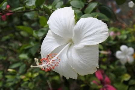 �{�Ó��S�Q