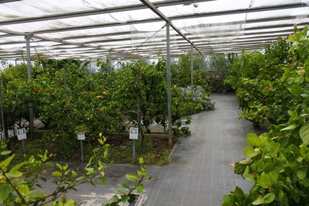 �{�Ó��T�P