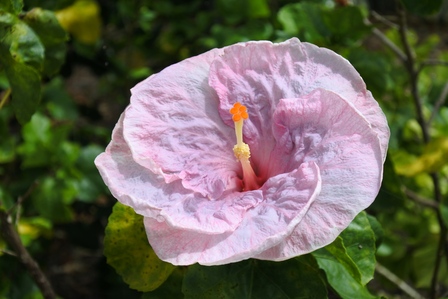 �{�Ó��T�R