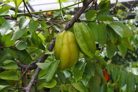 �{�Ó��T�T