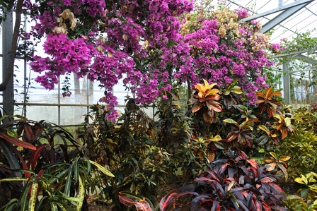 �{�Ó��T�U