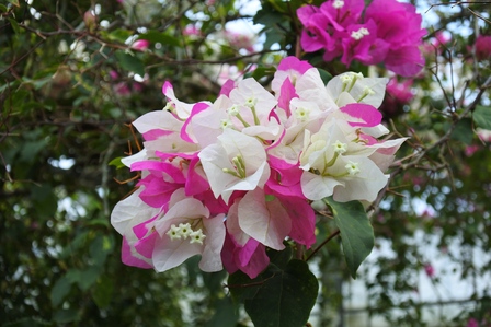 �{�Ó��T�V