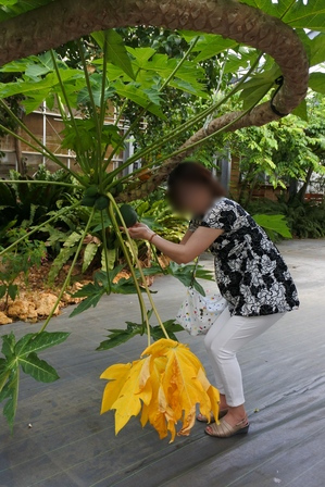 �{�Ó��T�W