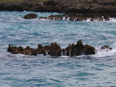 �{�Ó��V�R