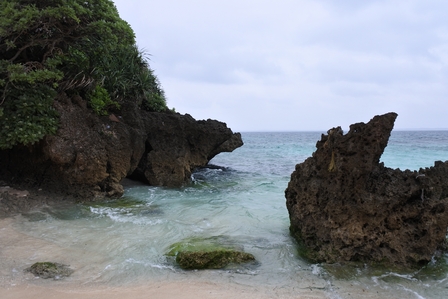 �{�Ó��P�O