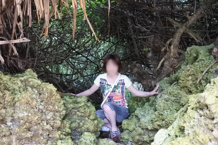 �{�Ó��P�P