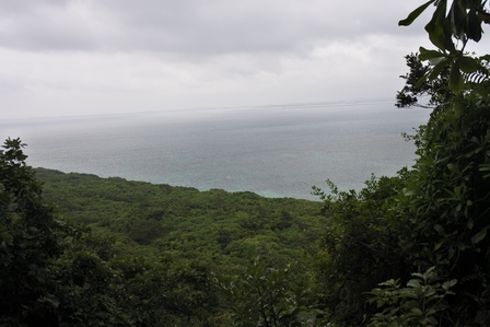 �{�Ó��P�U