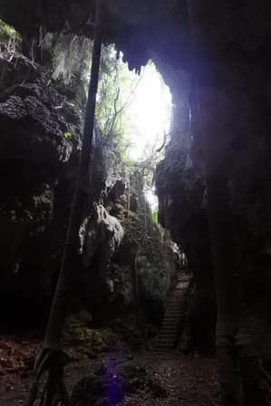 �{�Ó��P�X