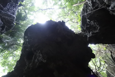 �{�Ó��Q�O