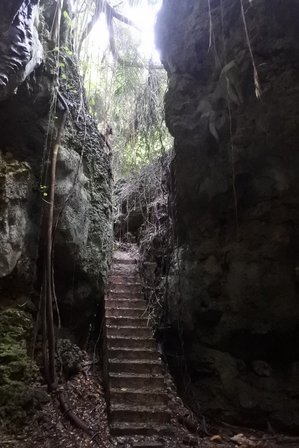 �{�Ó��Q�P