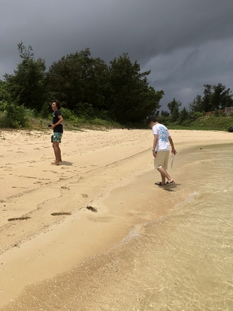 �{�Ó��Q�Q