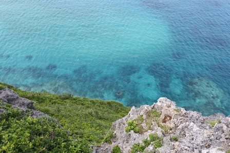 �{�Ó��R�Q