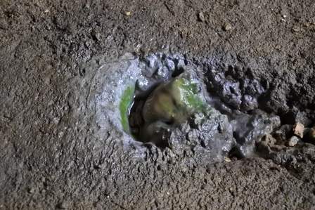 �{�Ó��R�U