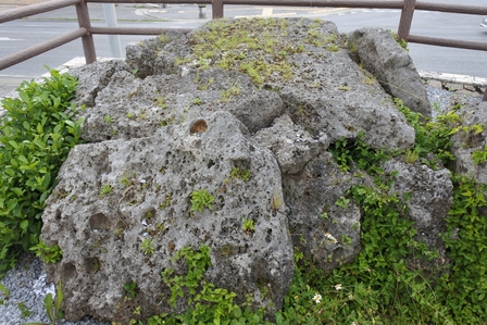 �{�Ó��S�S