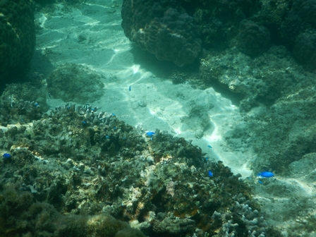 �{�Ó��Q�P