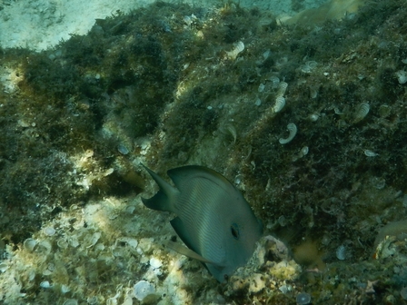 �{�Ó��Q�Q