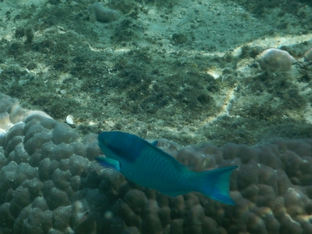 �{�Ó��Q�R