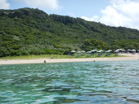 �{�Ó��Q�S