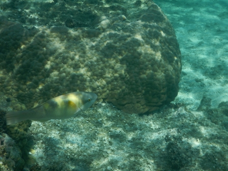 �{�Ó��Q�T