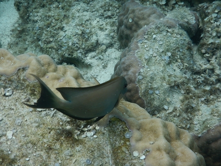 �{�Ó��Q�U