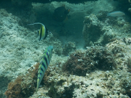 �{�Ó��Q�V