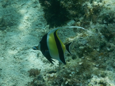 �{�Ó��Q�W