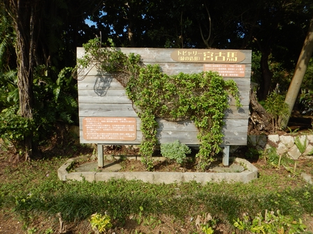 �{�Ó��R�X