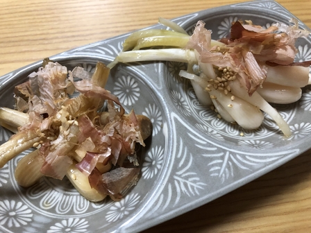 �{�Ó��T�Q