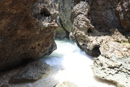 �{�Ó��P�U