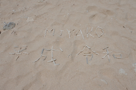 �{�Ó��P�W