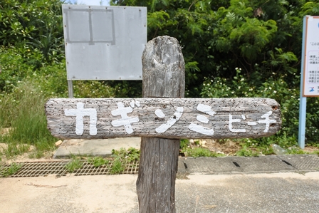 �{�Ó��P�X