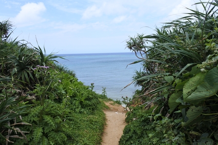 �{�Ó��Q�O