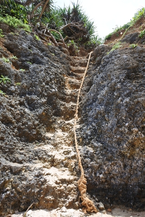 �{�Ó��Q�P