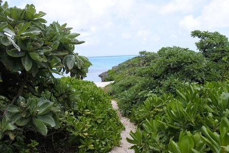 �{�Ó��Q�T