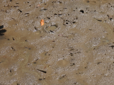 �{�Ó��Q�W