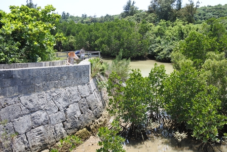 �{�Ó��R�P