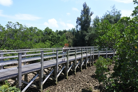 �{�Ó��R�Q