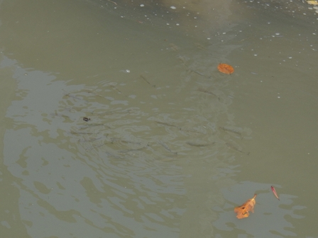 �{�Ó��R�S