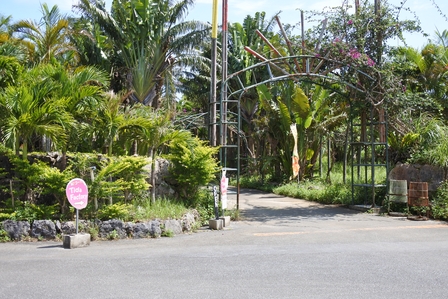 �{�Ó��R�T