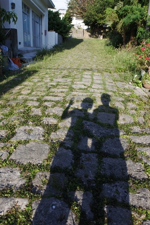 �{�Ó��T�V