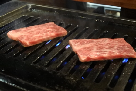 �{�Ó��V�T