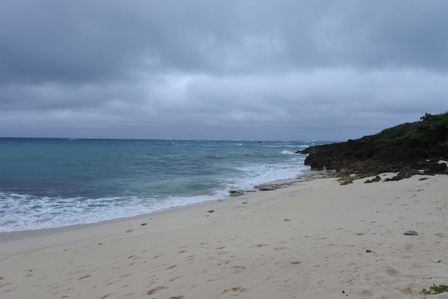 �{�Ó��Q�S