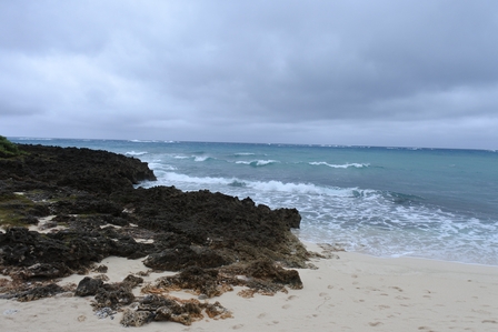 �{�Ó��Q�T