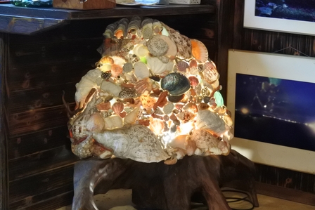 �{�Ó��T�P