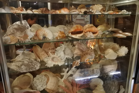 �{�Ó��T�W