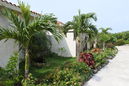 �{�Ó��P�V