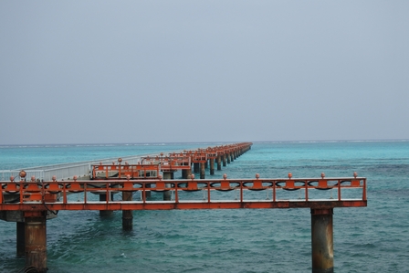 �{�Ó��Q�Q