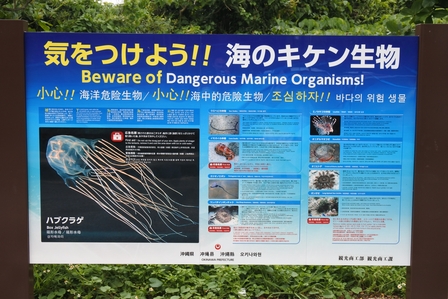 �{�Ó��T�R