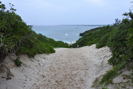 �{�Ó��T�S