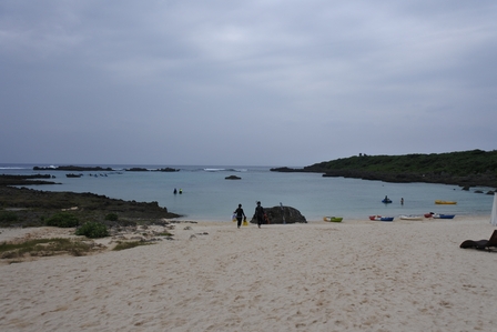 �{�Ó��U�O